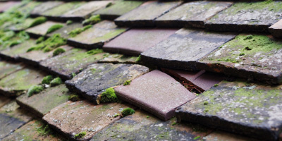 Llanfihangel Ar Arth roof repair costs